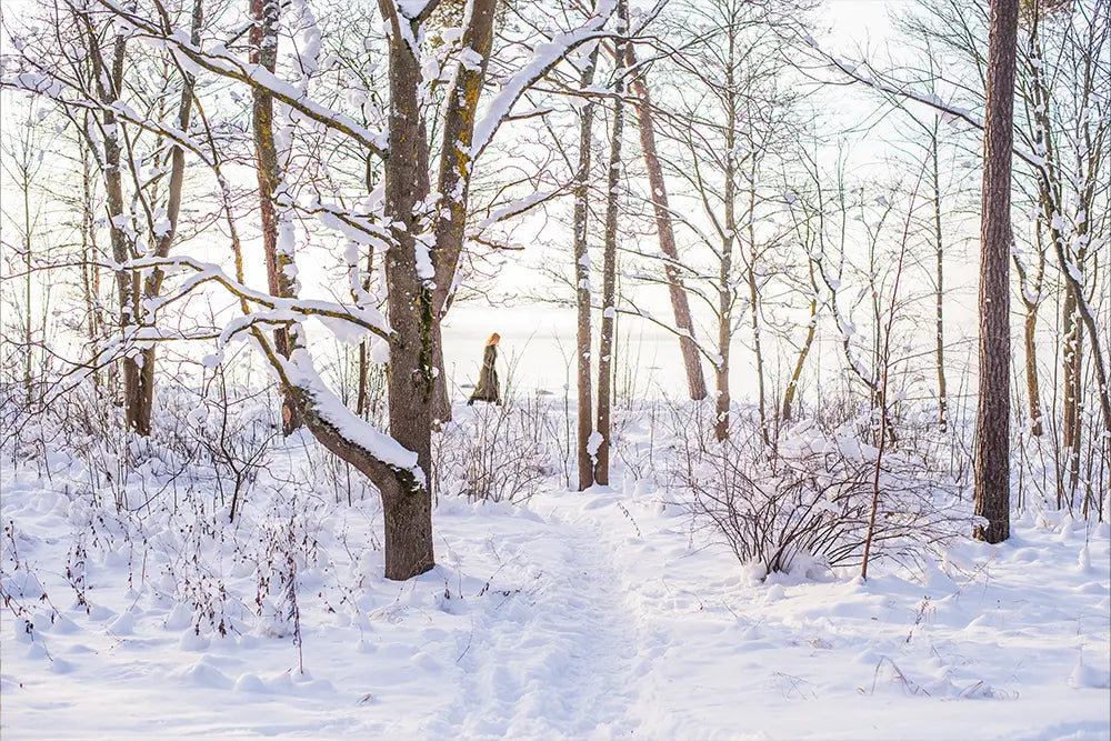 hiver montagne paysage enneigé arbres froids astuces et conseils pour booster son immunité et protéger sa peau du froid en hiver