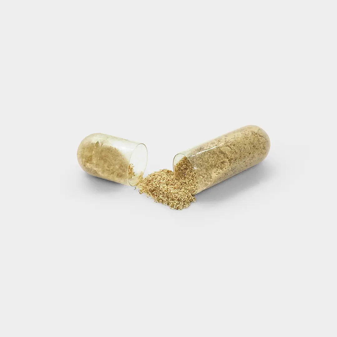 gélule ouverte complément naturel vitalité pour énergie pousse des cheveux et ongles belle peau de la marque beauté et bien etre holistique days of confidence gélules ouverte posée sur un fond gris cheveux complement alimentaire complément alimentaire chute de cheveux complément alimentaire pousse cheveux