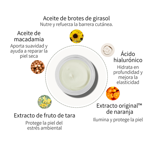 Urban Shield Face Cream